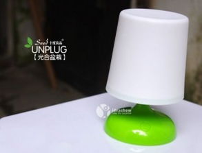 會(huì)發(fā)光的光合作用盆栽