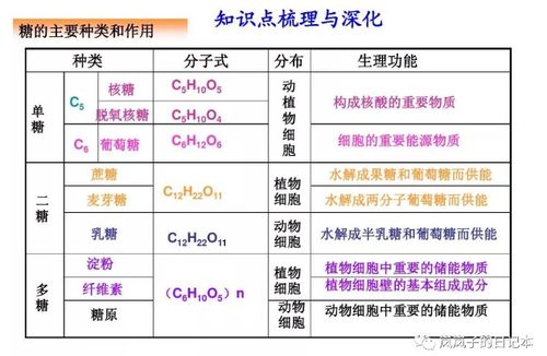 嵐嵐子的保命小課堂 第2期 糖