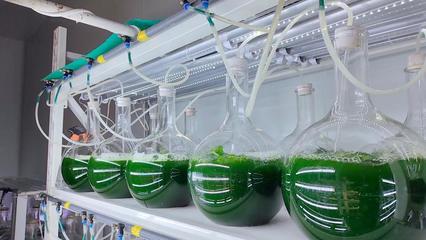 新華視點|微距探新