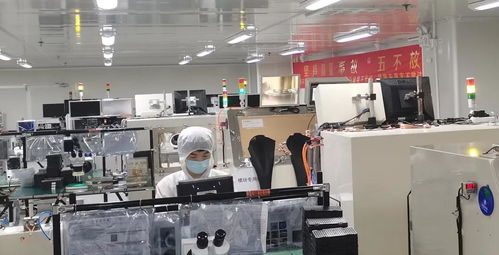 攜手并進，共譜華章——瑞谷光網與華為合作的質量績效與體系建設雙豐收